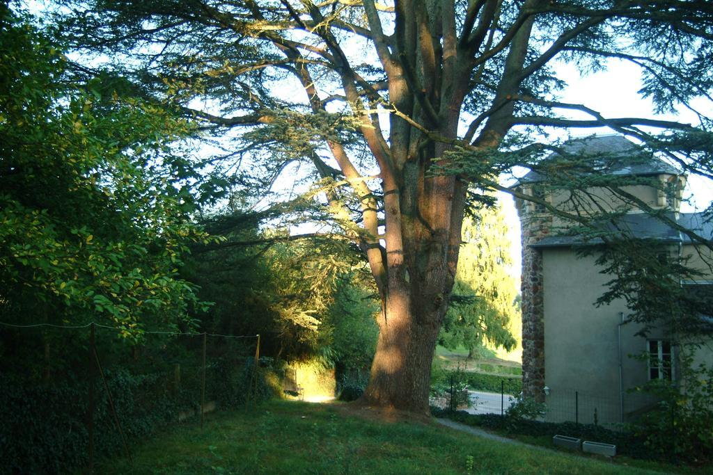 Chambres D'Hotes Castel Des Cedres Saint-Honore-les-Bains Exterior photo